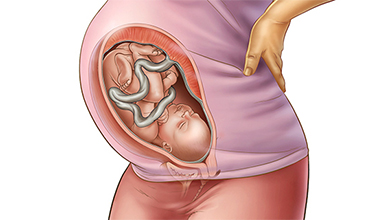 掌握你的懷孕狀況：第35週